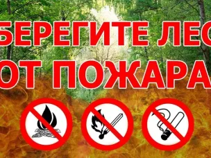 Пожарная безопасность в лесу.